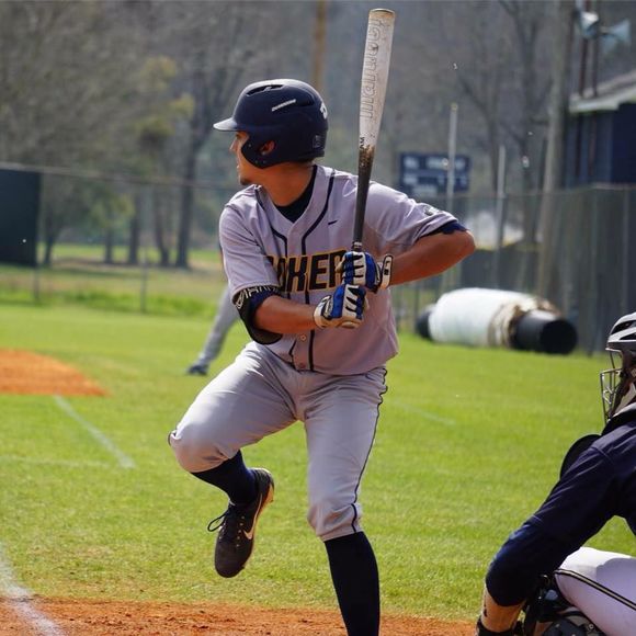 Meet your Posher, Reilly - Picture 1 of 1